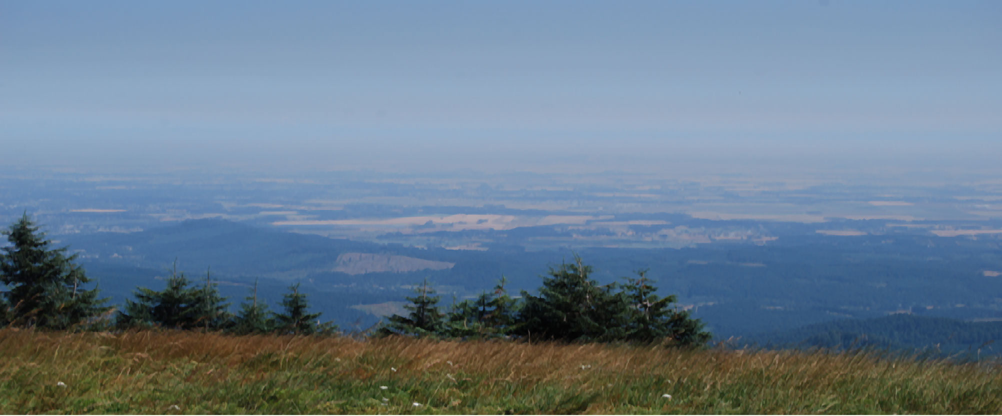 Willamette Valley From Marys Peak